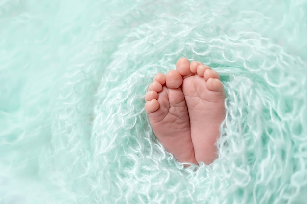 Pieds de bébé nouveau-né sur fond bleu