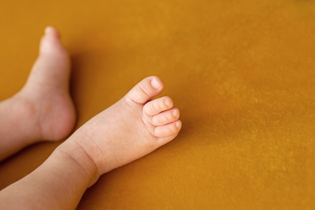 Photo pieds de bébé nouveau-né.