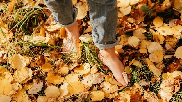 Pieds de belles femmes pieds nus sur les feuilles jaunes d'automne