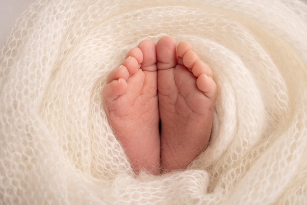 Pieds doux d'un nouveau-né dans une couverture en laine blanche Gros plan des orteils talons et pieds d'un nouveau-né Le petit pied d'un nouveau-né Studio Macrophotographie Pieds de bébé recouverts de fond isolé