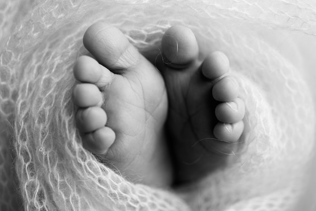 Pieds doux d'un nouveau-né dans une couverture en laine Gros plan sur les orteils, les talons et les pieds d'un bébé