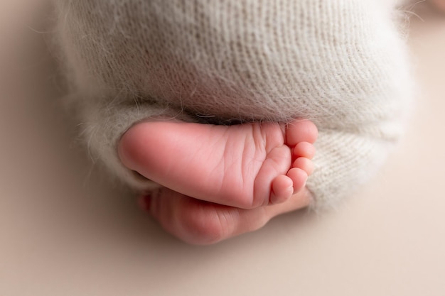 Pieds doux d'un nouveau-né. membres de bébé