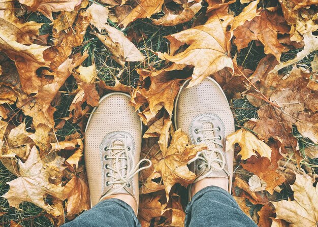 Pieds féminins dans les chaussures en cuir parmi les feuilles d'automne