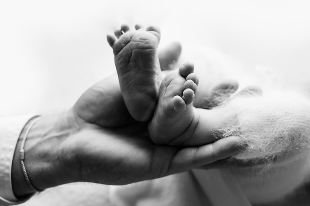 Pieds d'un nouveau-né entre les mains d'un père, parent. Photographie de studio, noir et blanc. Notion de famille heureuse. photo de haute qualité