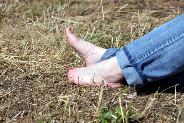 Pieds nus de femmes en jean bleu roulé reposant sur du foin sec vue rapprochée