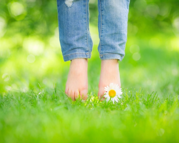 Pieds sains avec fleur de marguerite sur l'herbe verte du printemps