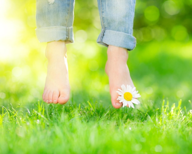 Pieds sains avec fleur de marguerite sur l'herbe verte du printemps