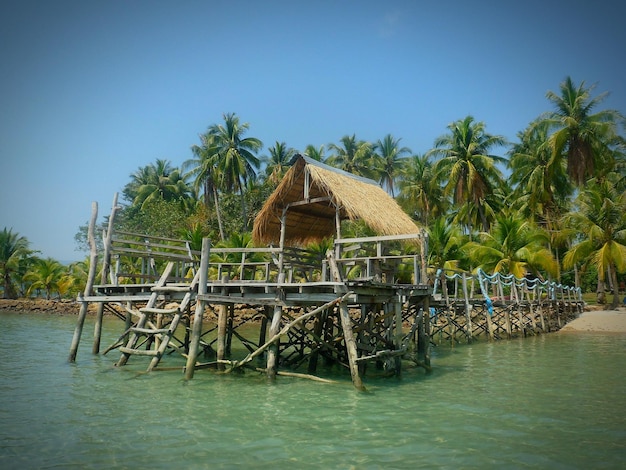 Pier de bois rustique contre les palmiers en Thaïlande
