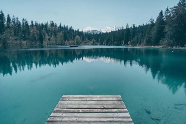 Photo pier contre la rivière et les arbres contre le ciel