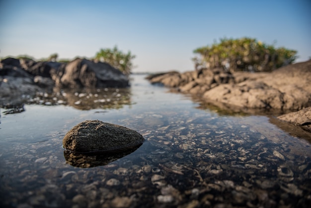 Pierre dans l'eau de mer