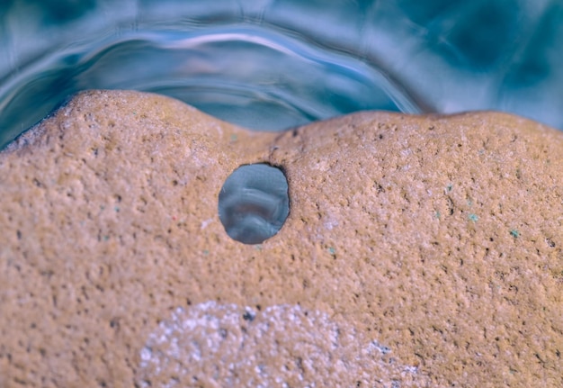 Une pierre de mer avec un trou.