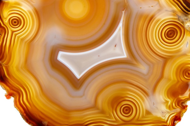 Pierre minérale Agate macro sur fond blanc