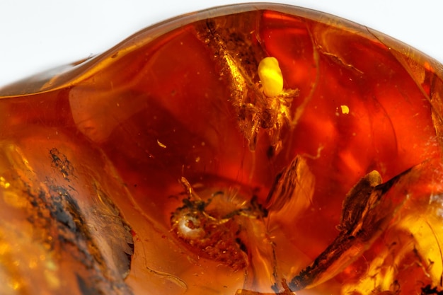 Pierre minérale ambre macro avec araignée sur fond blanc