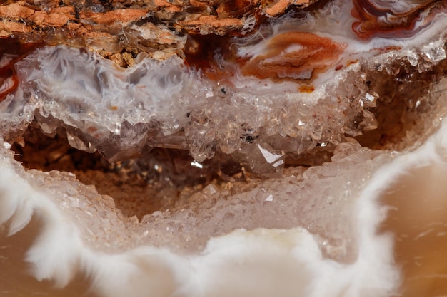 Pierre minérale macro agate rein gerbera sur fond blanc gros plan