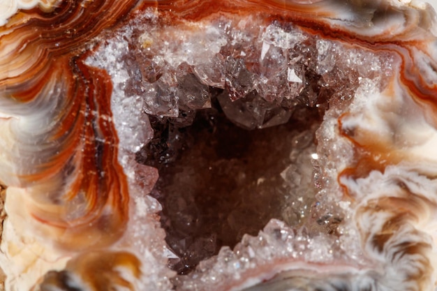 Pierre minérale macro agate rein gerbera sur fond blanc gros plan