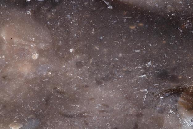 Pierre minérale macro Flint dans la roche sur fond blanc