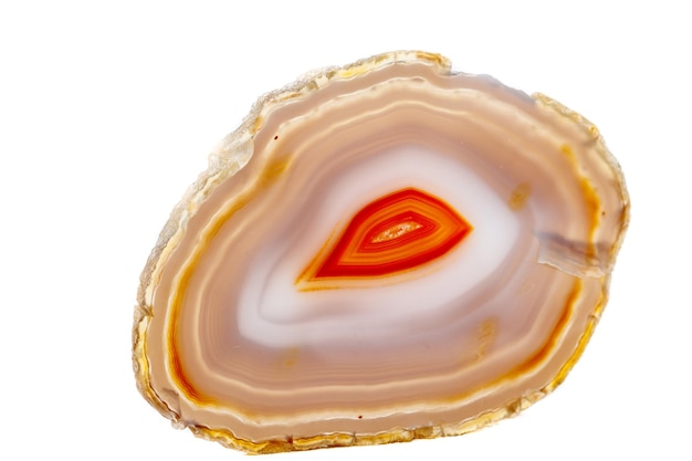 Pierre minérale macro jaune brun Agate race un fond blanc