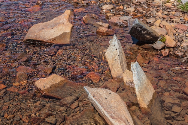 Pierre pointue dans un ruisseau d'eau claire avec un fond pierreux hétéroclite au soleil Ruisseau de montagne coloré avec de l'eau minérale en plein soleil Vue de dessus pittoresque sur des pierres multicolores ensoleillées dans l'eau de source