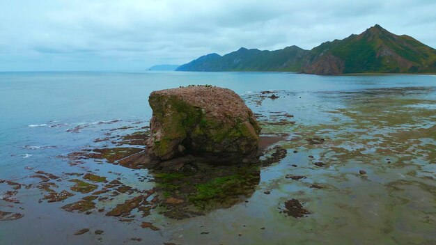 Pierre rocheuse en mer sur la côte clip vue de haut de la roche en mer près du rivage avec des algues après la tempête du nord