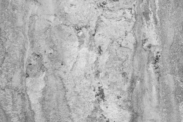 pierre de texture de roches de corail