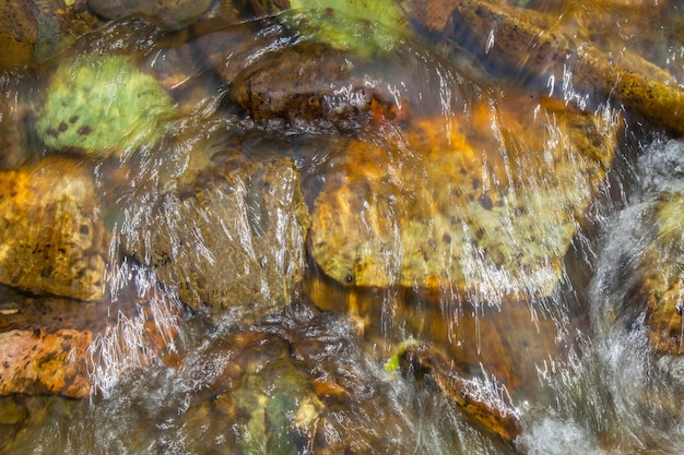 Les pierres au fond de la crique, ruisseau propre