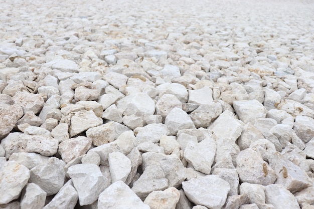 pierres blanches sur la plage par une journée ensoleillée