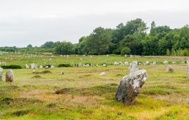 Les pierres de Carnac en Bretagne