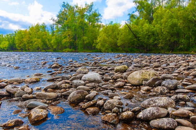 pierres dans une rivière de montagne. La nature sauvage