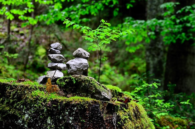 Pierres empilées dans la forêt