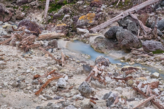 Pierres éparses Arbres sans vie dans le cratère