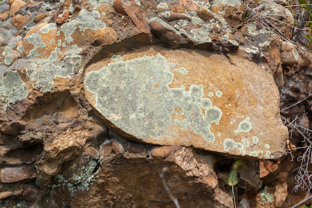 Pierres de granit dans la roche recouverte de mousse verte et de lichen.