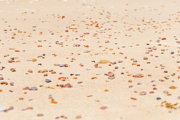 Des pierres de mer de couleur jaune ambre sur le sable beige fin naturel du rivage d'arrière-plan copie de l'espace