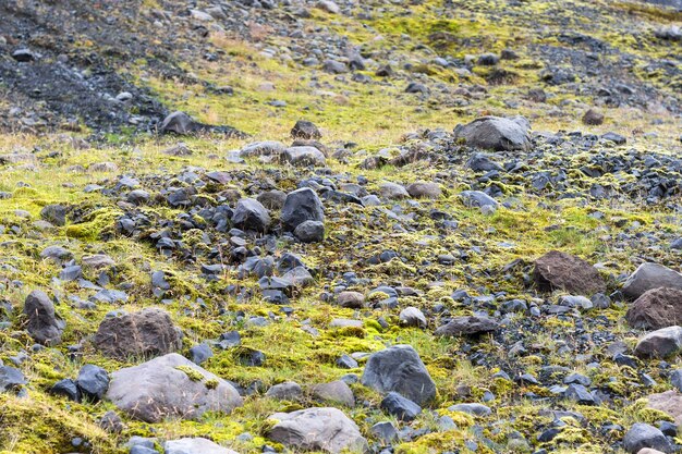 Pierres ponces le long du lit du glacier Solheimajokull