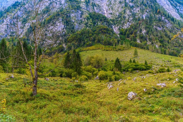 Photo pierres de rocher dans le parc national de koenigssee konigsee berchtesgaden bavière allemagne