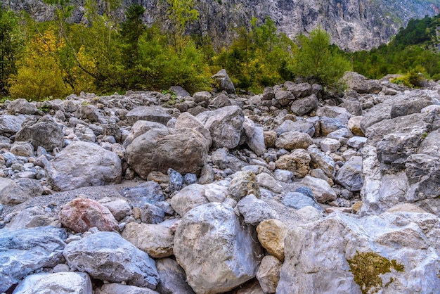 Pierres de rocher dans le parc national de Koenigssee Konigsee Berchtesgaden Bavière Allemagne