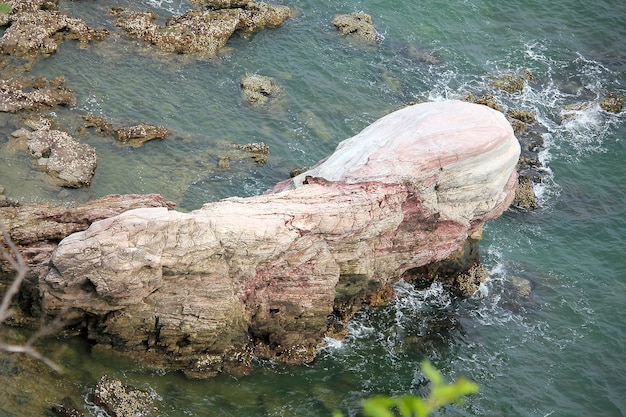 Pierres roses au milieu de la mer