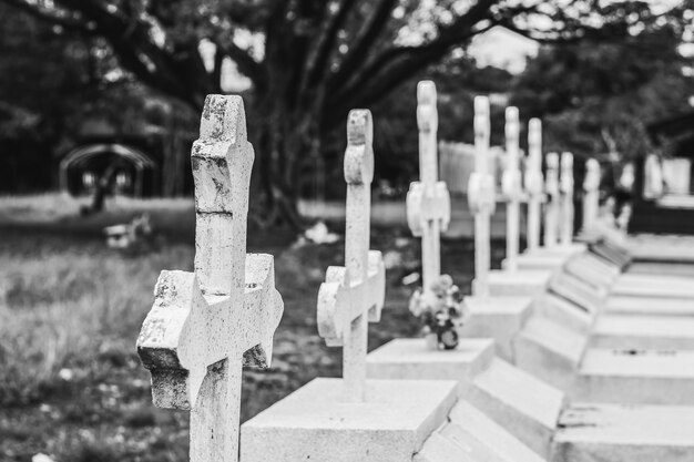 Photo pierres tombales, dans, cimetière