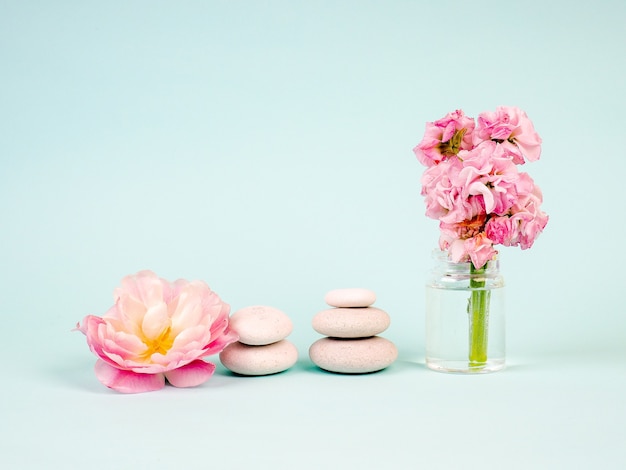 Pierres zen et fleurs roses sur fond bleu.