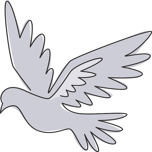 pigeon blanc volant dans le ciel