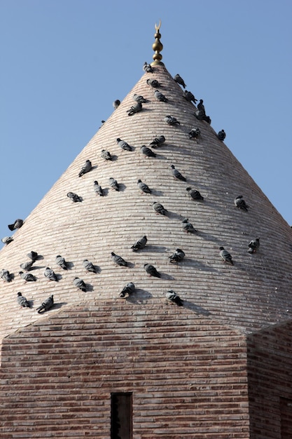 Pigeons dans le dôme