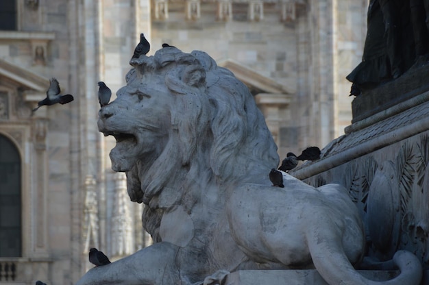 Des pigeons sur une statue de lion contre un bâtiment