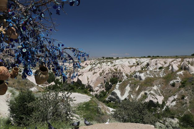 Pigeons Valley et Evil Eye Beads Tree en Cappadoce