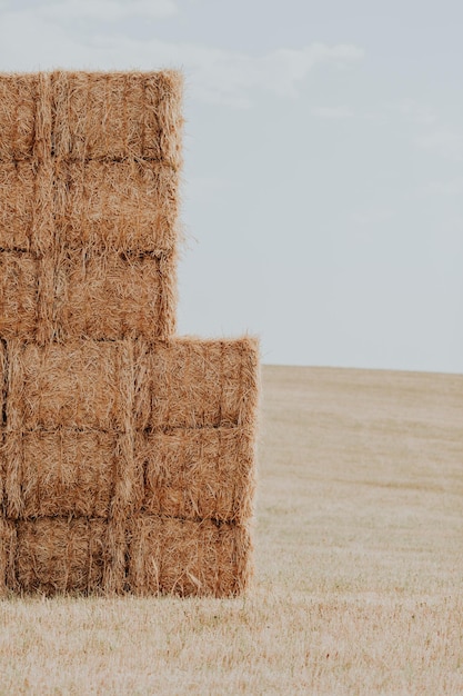 Une pile de balles de foin sur le champ contre le ciel