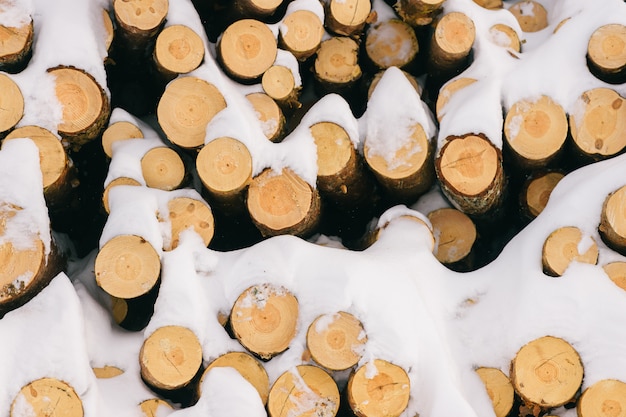 Pile de bois de chauffage dans le gros plan de neige