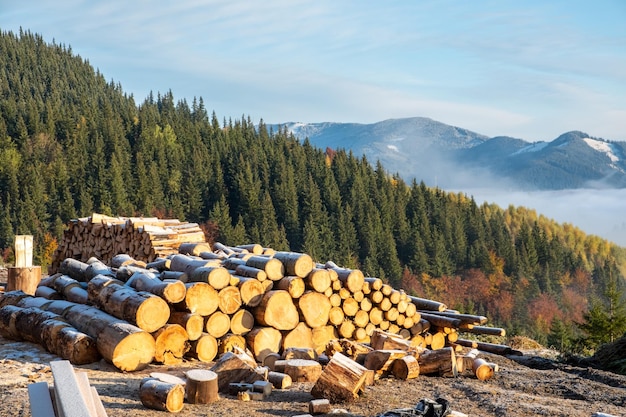 Pile de bois de chauffage enneigé dans les montagnes photo ensoleillée