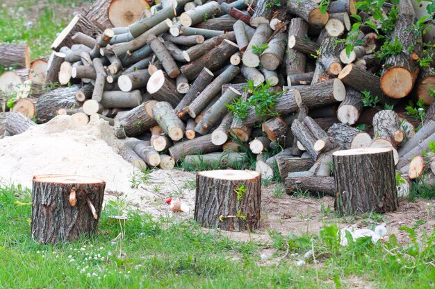 Photo pile de bois de chauffage préparation du bois de chauffe pour l'hiver arrière-plan bois de chauffe dans la forêt