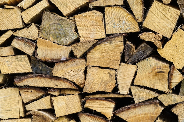 Pile de bois de chauffage préparé pour l'hiver Bois d'épicéa