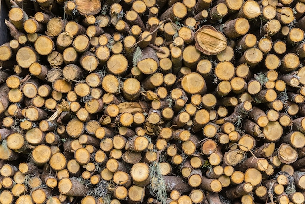 Pile de bois de chauffage