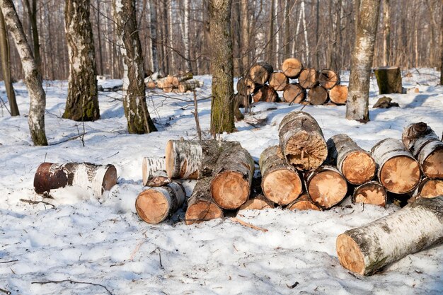 Pile de bois de chauffage