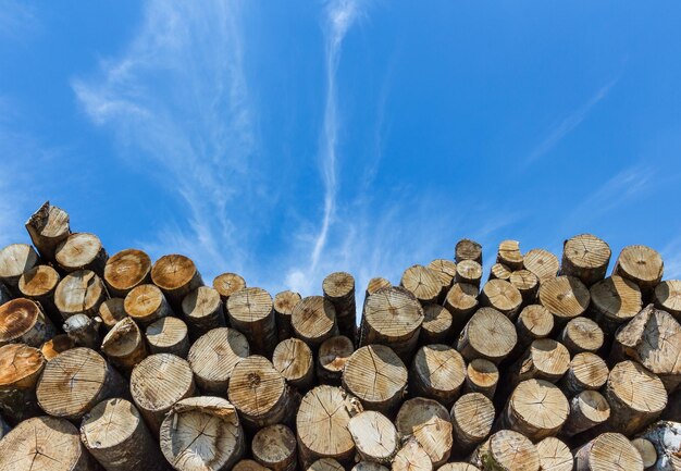 Pile de bois coupé